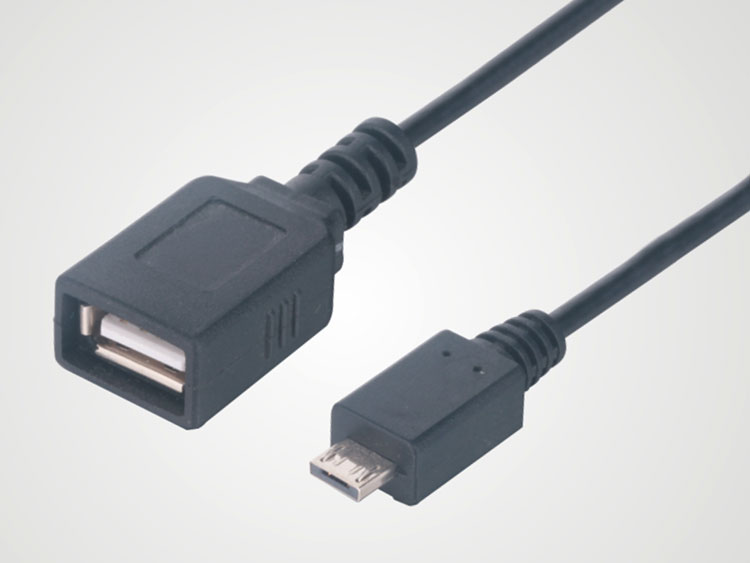 OTG 廷长线